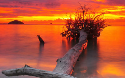 Sunset Borneo